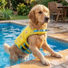 PawFloat™ Pet Safety Vest – Head Support & Rescue Ready