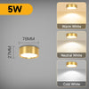 GlowShelf™ LED Wall Shelf - Display in Style, Glow with Elegance