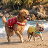 PawFloat™ Pet Safety Vest – Head Support & Rescue Ready