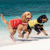 PawFloat™ Pet Safety Vest – Head Support & Rescue Ready