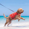 PawFloat™ Pet Safety Vest – Head Support & Rescue Ready