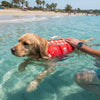 PawFloat™ Pet Safety Vest – Head Support & Rescue Ready